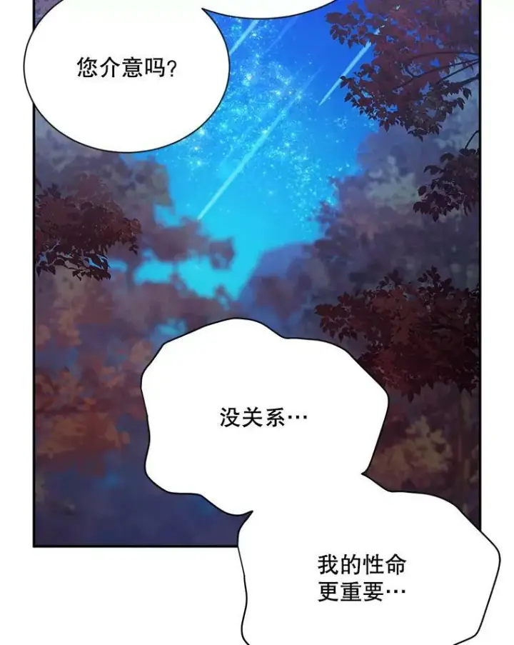 《虚名的公爵之妻》114.神秘人的身份（本季完）图78
