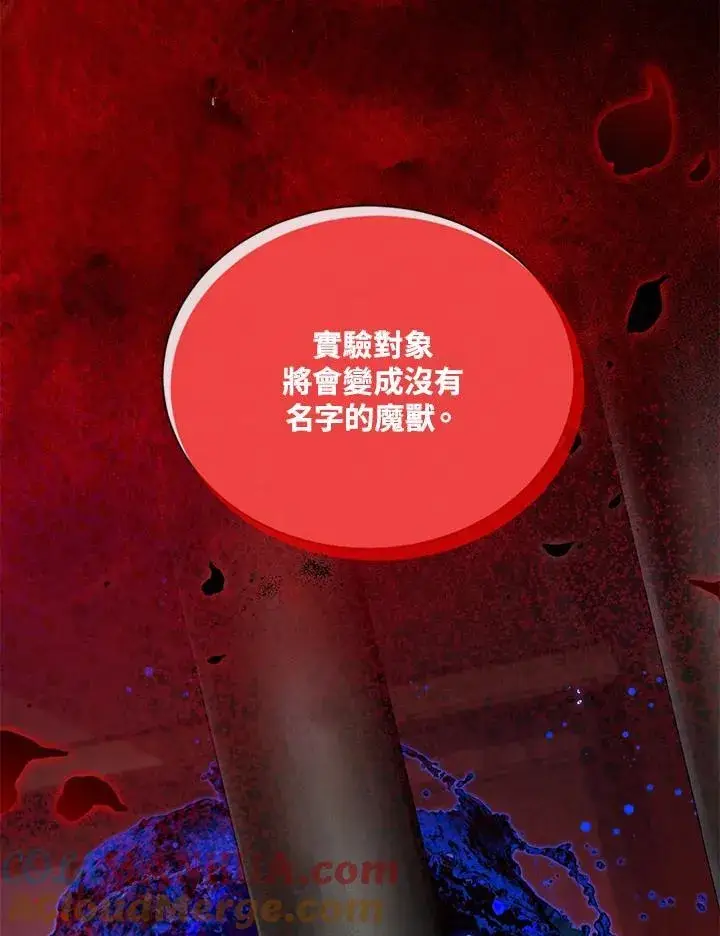 《虚名的公爵之妻》第132话图13