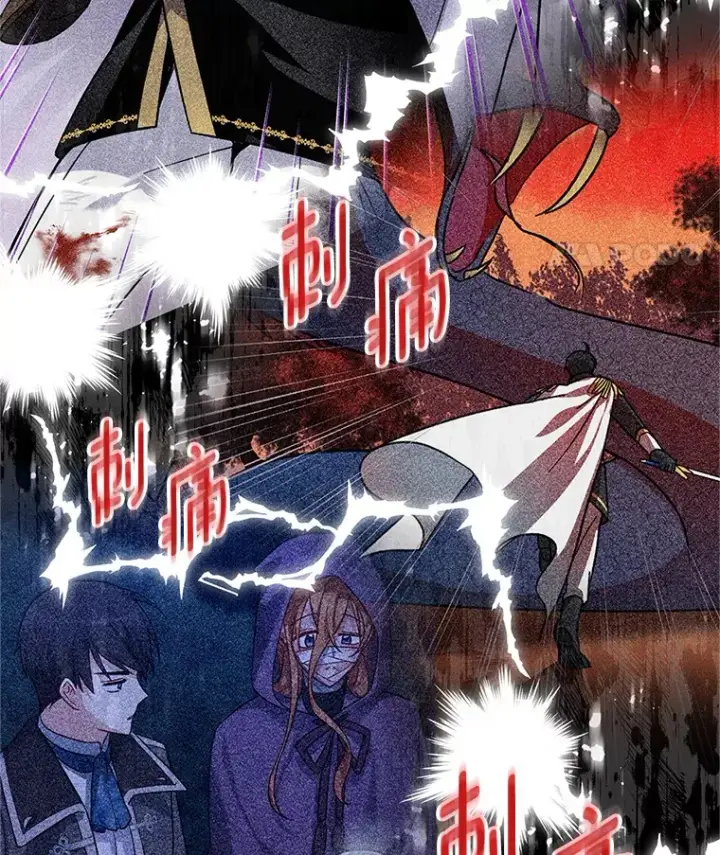 《虚名的公爵之妻》149.魔王灵魂复活图22