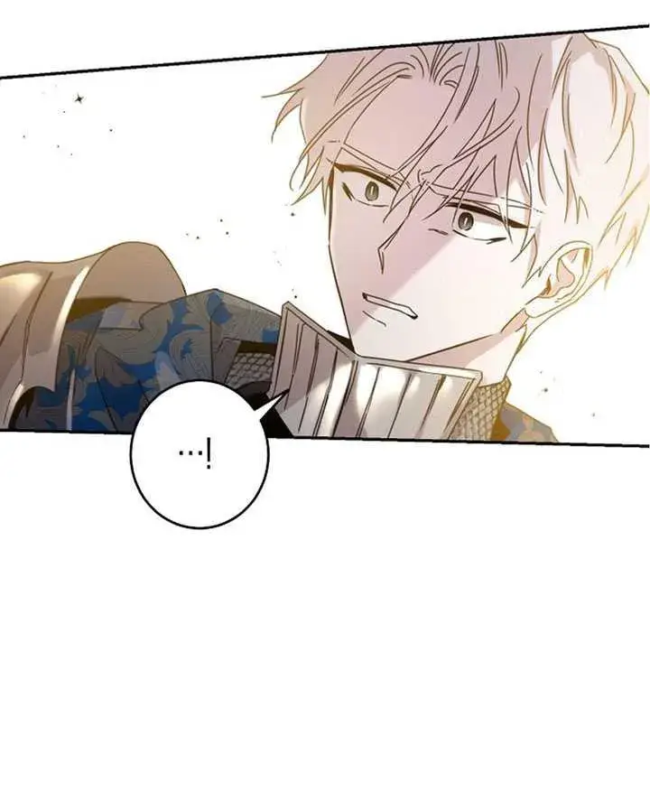 《驯服暴君后逃跑了》20.庆典上的偶遇图18