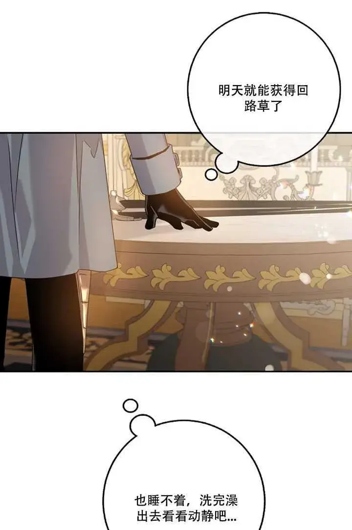 《驯服暴君后逃跑了》20.庆典上的偶遇图52