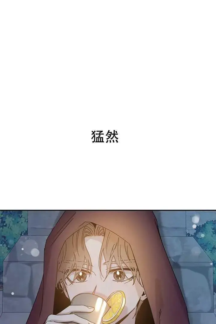 《驯服暴君后逃跑了》20.庆典上的偶遇图63