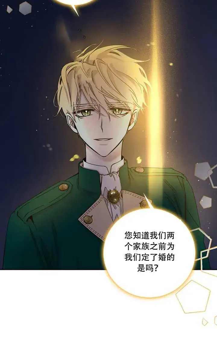 《驯服暴君后逃跑了》22.宴会遇故人图34