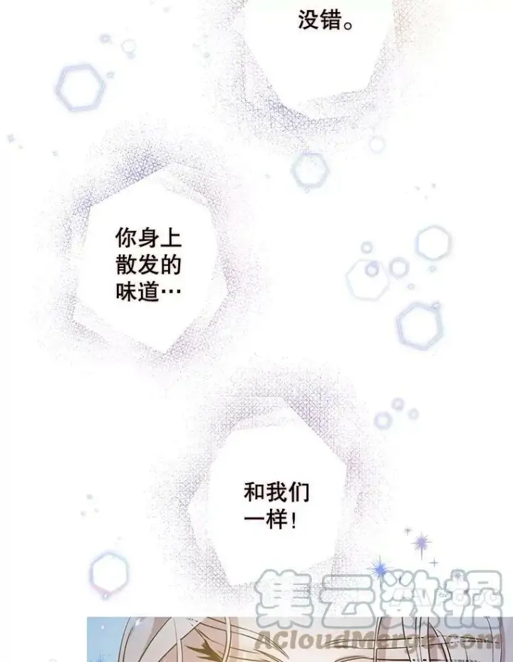 《驯服暴君后逃跑了》53.精灵的秘密图10