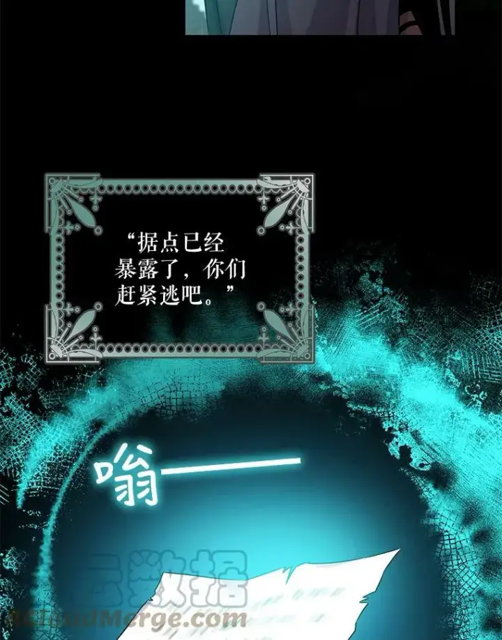 《驯服暴君后逃跑了》68.尽头图10