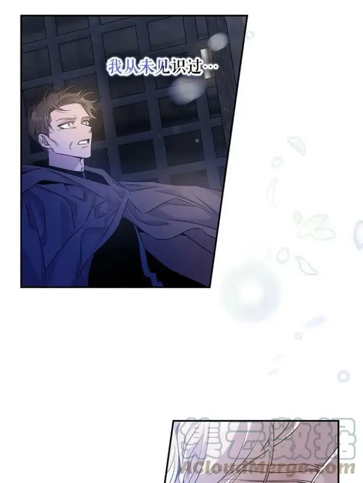 《驯服暴君后逃跑了》68.尽头图19