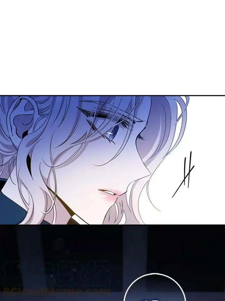 《驯服暴君后逃跑了》68.尽头图28