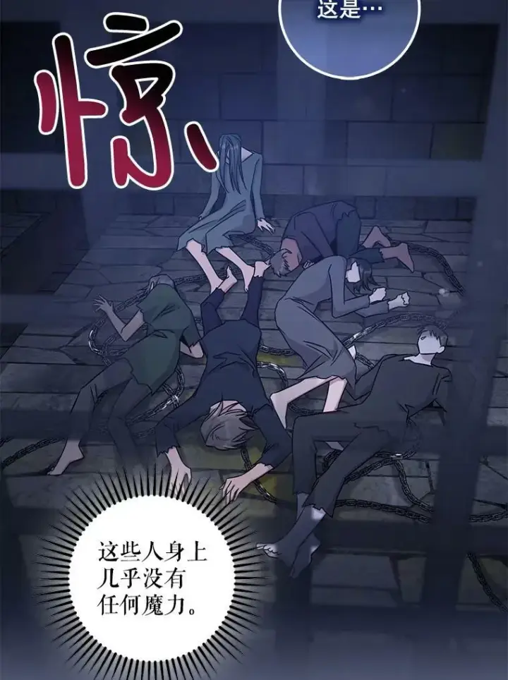 《驯服暴君后逃跑了》68.尽头图29