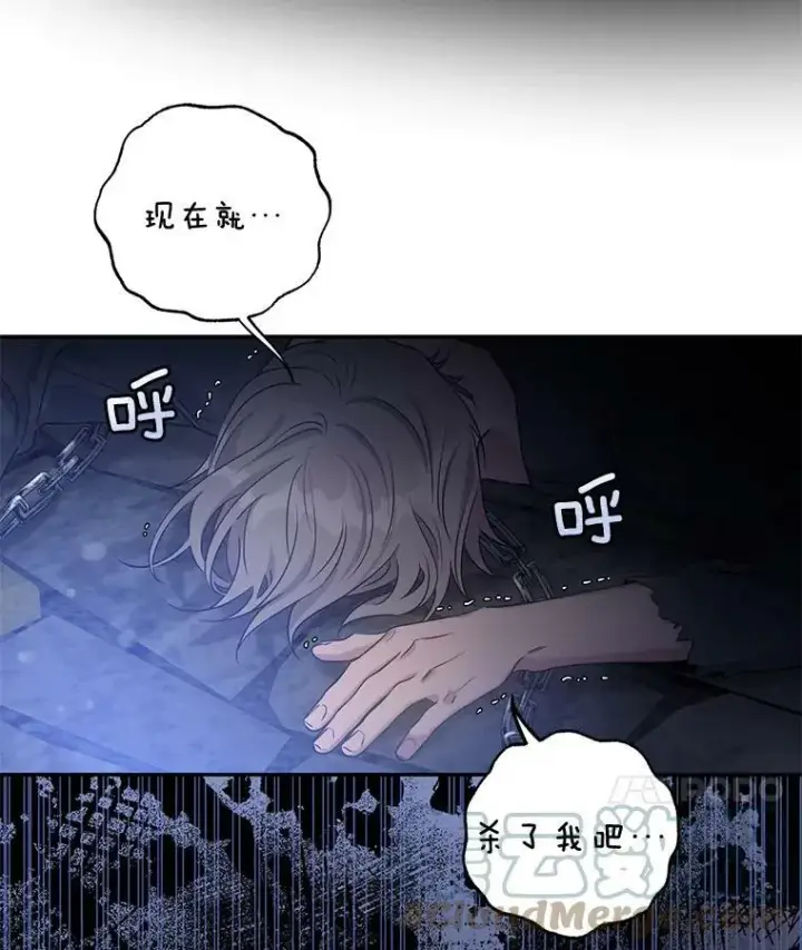 《驯服暴君后逃跑了》68.尽头图37