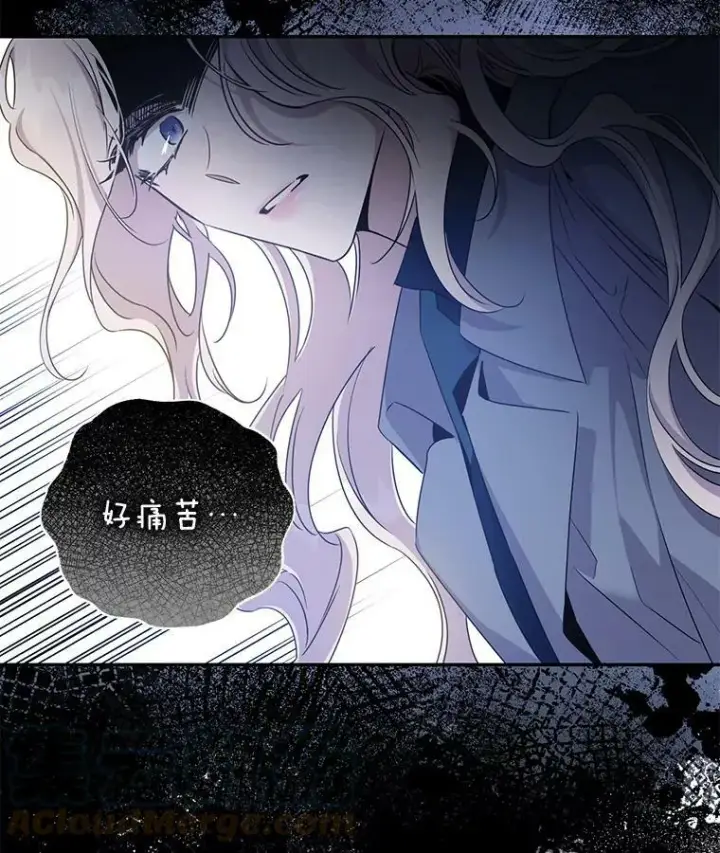 《驯服暴君后逃跑了》68.尽头图40
