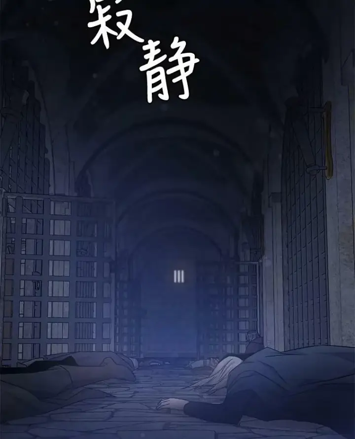 《驯服暴君后逃跑了》68.尽头图45