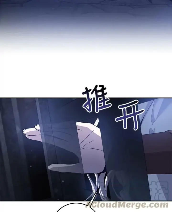 《驯服暴君后逃跑了》68.尽头图46