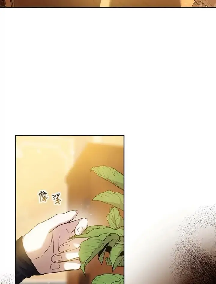 《驯服暴君后逃跑了》68.尽头图71