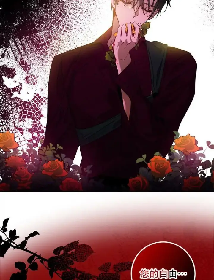 《驯服暴君后逃跑了》68.尽头图90