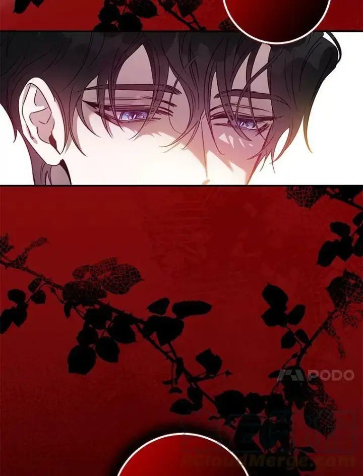 《驯服暴君后逃跑了》68.尽头图91