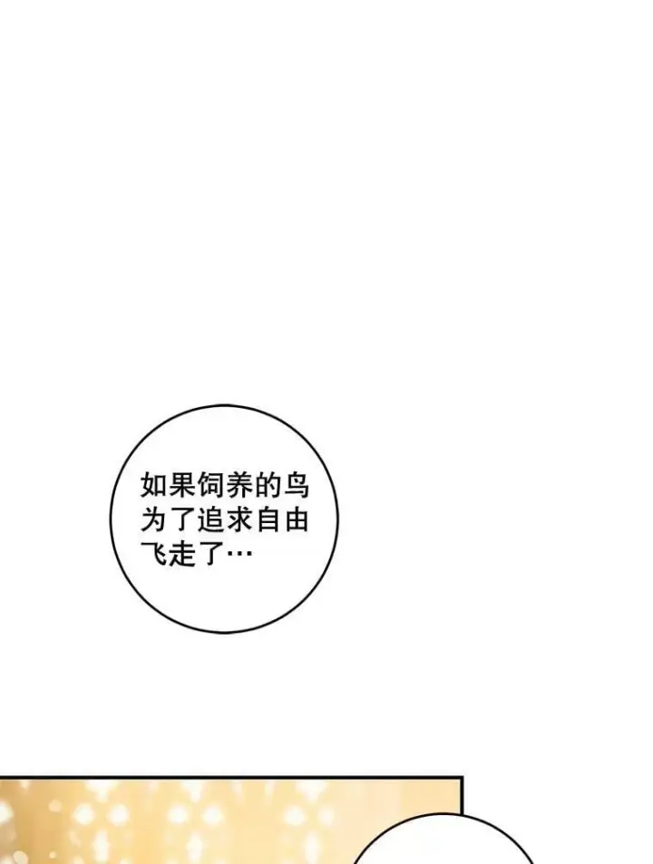 《驯服暴君后逃跑了》72.卡胡的婚约图80
