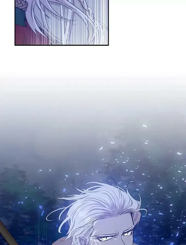 《驯服暴君后逃跑了》78.拉菲内一族图124