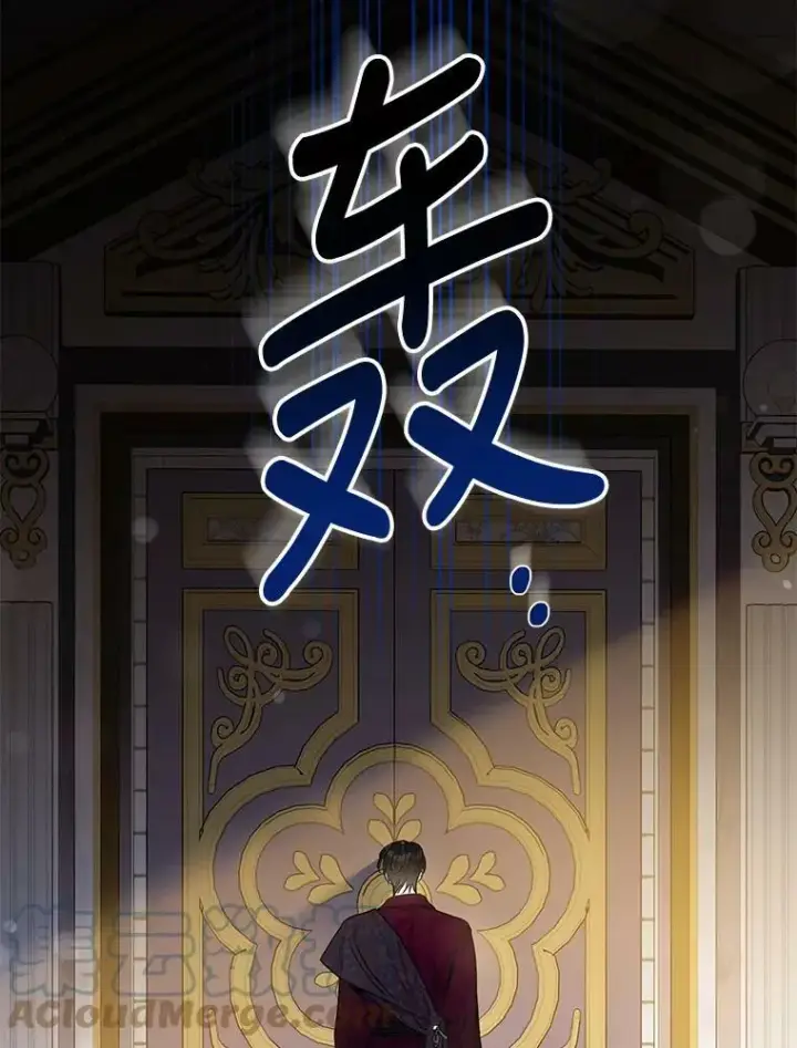《驯服暴君后逃跑了》78.拉菲内一族图133