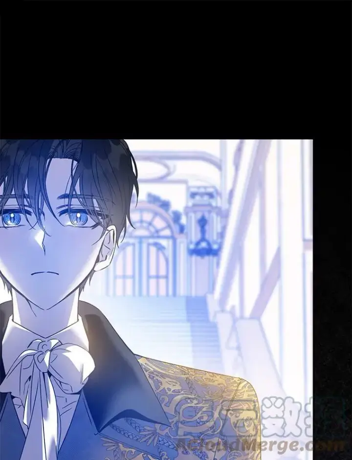 《驯服暴君后逃跑了》78.拉菲内一族图29