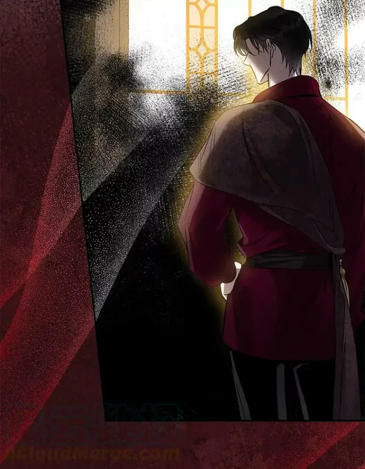 《驯服暴君后逃跑了》78.拉菲内一族图53