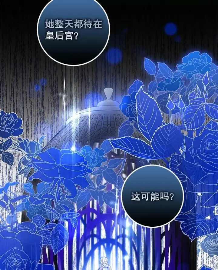 《驯服暴君后逃跑了》78.拉菲内一族图60
