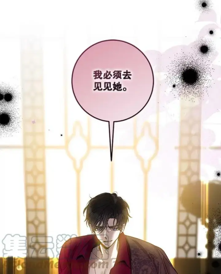 《驯服暴君后逃跑了》78.拉菲内一族图65