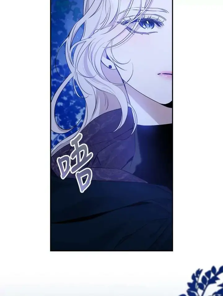 《驯服暴君后逃跑了》78.拉菲内一族图70