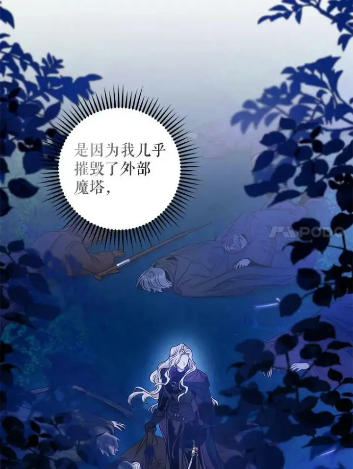《驯服暴君后逃跑了》78.拉菲内一族图71