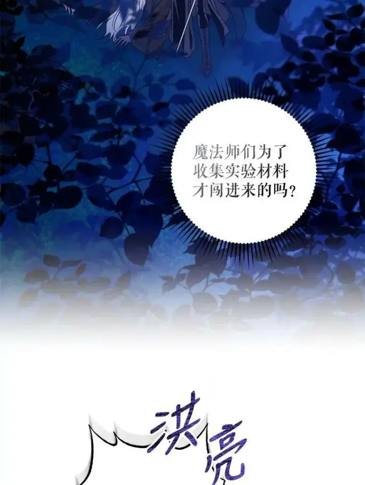 《驯服暴君后逃跑了》78.拉菲内一族图72