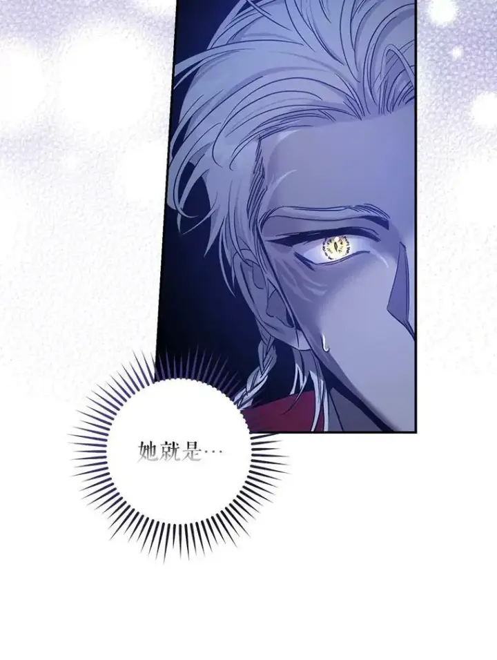 《驯服暴君后逃跑了》78.拉菲内一族图78