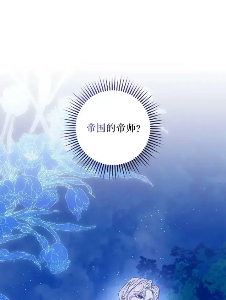 《驯服暴君后逃跑了》78.拉菲内一族图79
