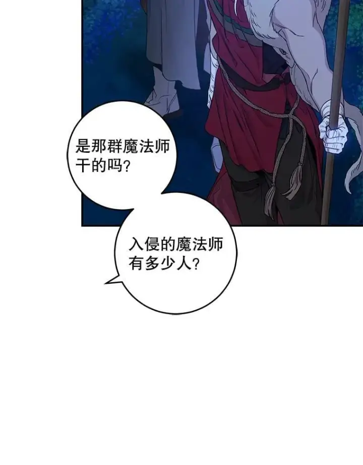 《驯服暴君后逃跑了》78.拉菲内一族图82