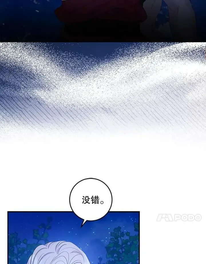 《驯服暴君后逃跑了》78.拉菲内一族图87