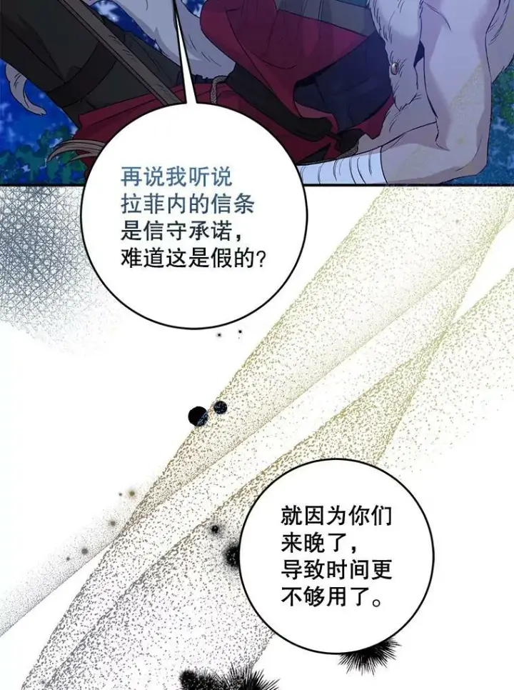 《驯服暴君后逃跑了》78.拉菲内一族图99