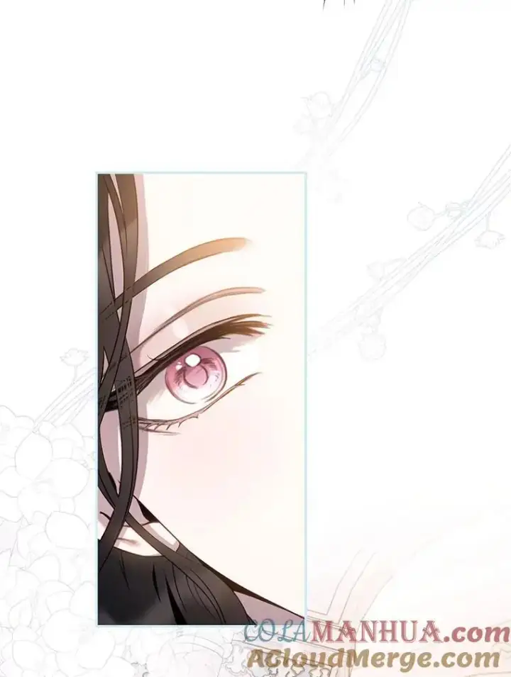 《驯服暴君后逃跑了》86.胎梦图93