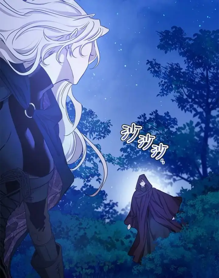 《驯服暴君后逃跑了》77.精灵的真实身份图94