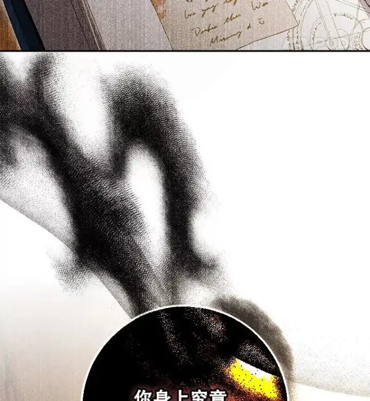 《驯服暴君后逃跑了》99.查看记忆图14