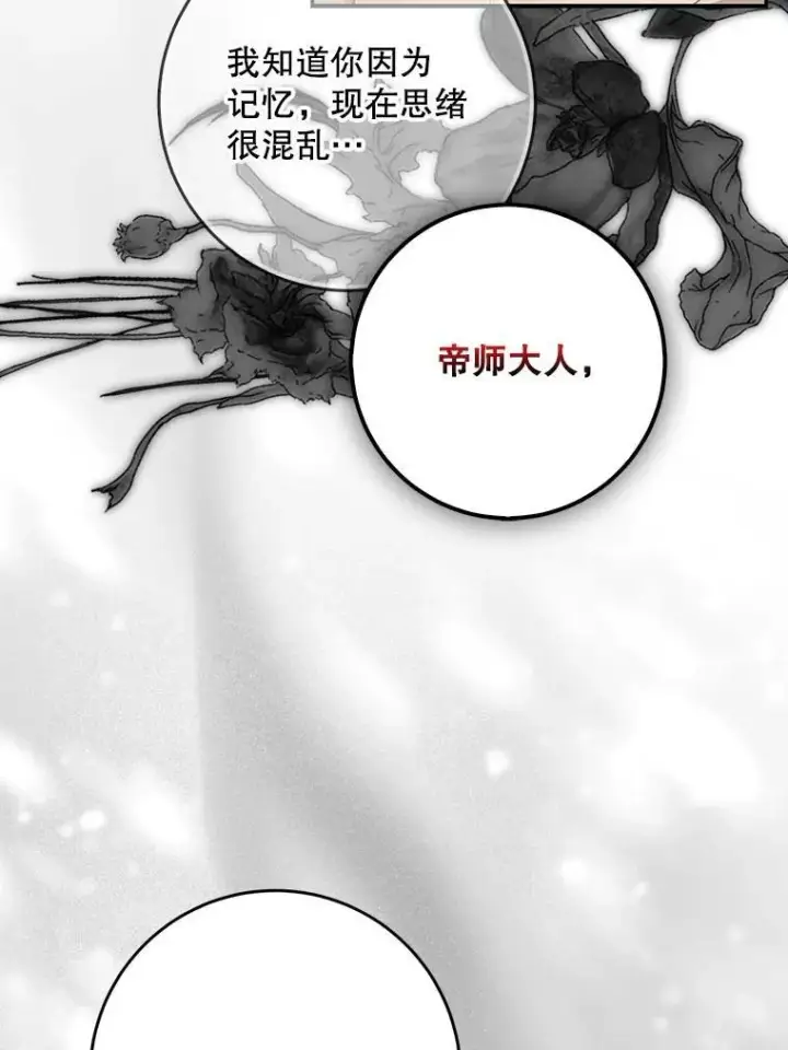 《驯服暴君后逃跑了》99.查看记忆图95