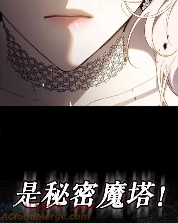 《驯服暴君后逃跑了》105.诱饵图85