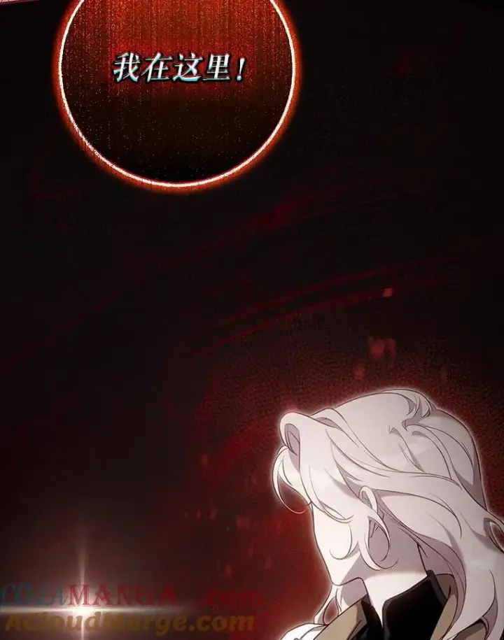 《驯服暴君后逃跑了》111.虚假空间图13