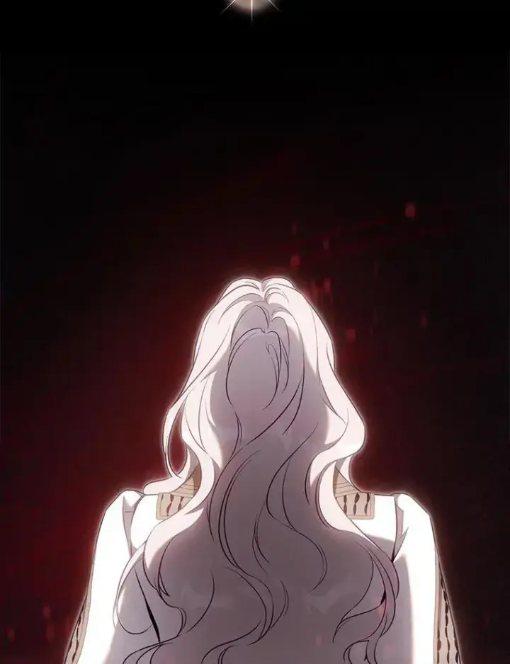 《驯服暴君后逃跑了》111.虚假空间图23
