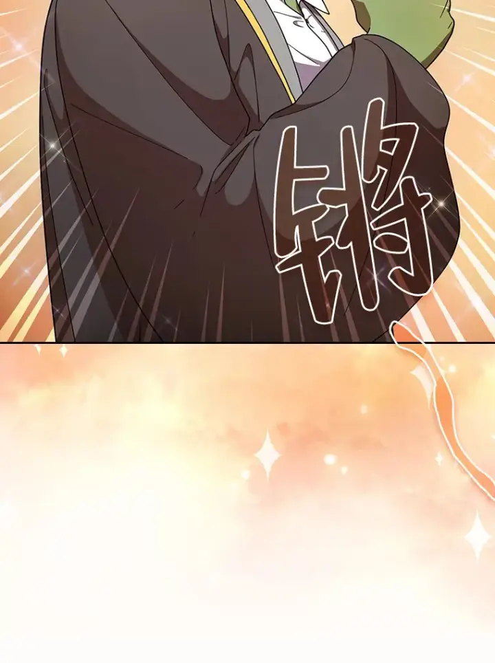《厌学魔法师想毕业》25.“缜密”的计划图71