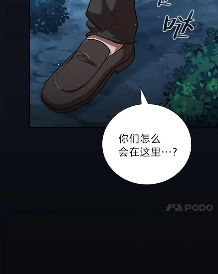 《厌学魔法师想毕业》27.“协同”作战图131
