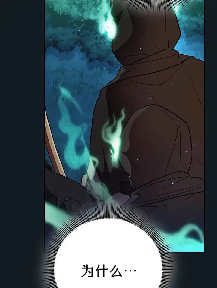 《厌学魔法师想毕业》27.“协同”作战图65