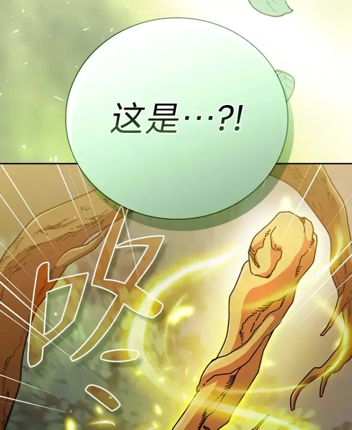 《厌学魔法师想毕业》29.树精灵图119