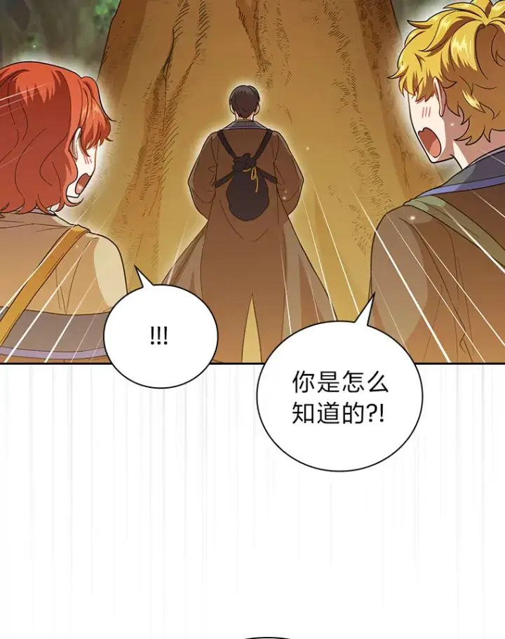 《厌学魔法师想毕业》29.树精灵图47