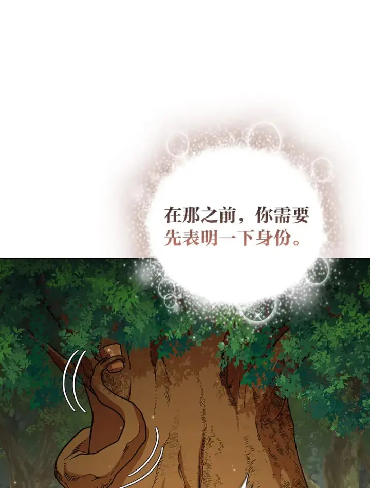《厌学魔法师想毕业》29.树精灵图77