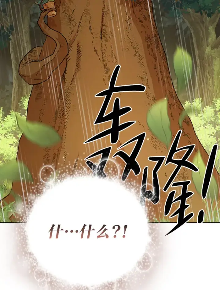 《厌学魔法师想毕业》29.树精灵图81