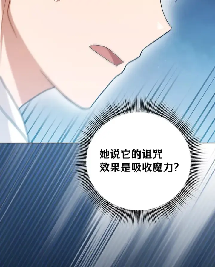 《厌学魔法师想毕业》31.弗里辛加教团图119