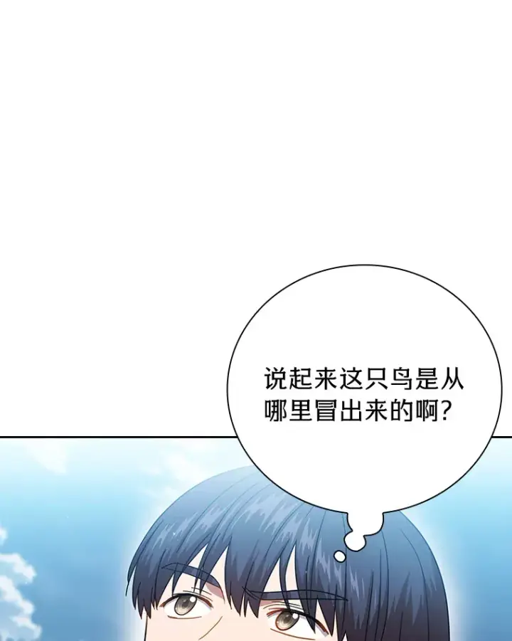 《厌学魔法师想毕业》33.基础骑行训练图104